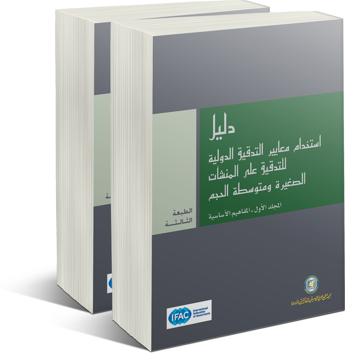 دليل استخدام معايير التدقيق الدولية للتدقق